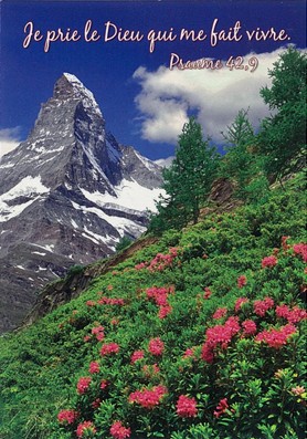 Mini Carte Paysage de montagne