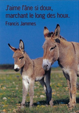 Mini Carte Anes