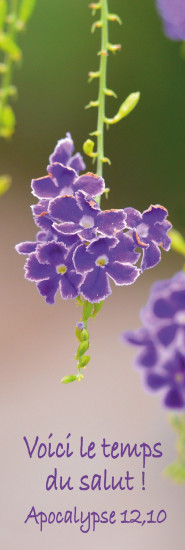 Signet Petites fleurs bleues