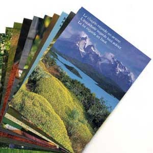 LOT FIN SERIE :10 cartes postales diverses citations