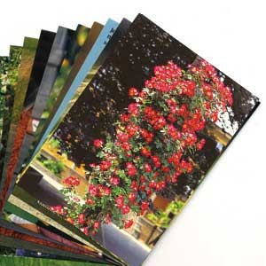 LOT FIN SERIE :10 cartes postales diverses sans texte